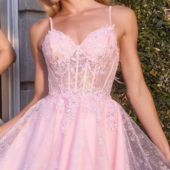 CD Dresses & Skirts - New Short Baby Doll Dress w/ Lace Up Back & Floral Lace Embroidery CD CJ419